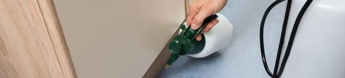 Bed bug exterminator treating baseboards and cracks with targeted spray in Arvada, CO