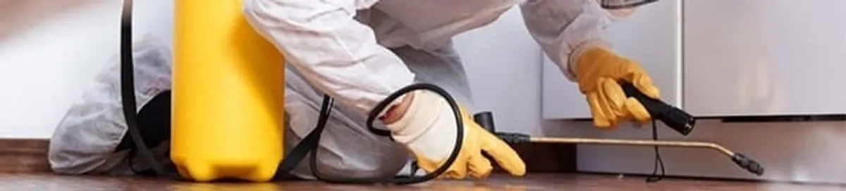 Roach exterminator treating cracks and crevices along kitchen baseboards in Arvada, CO