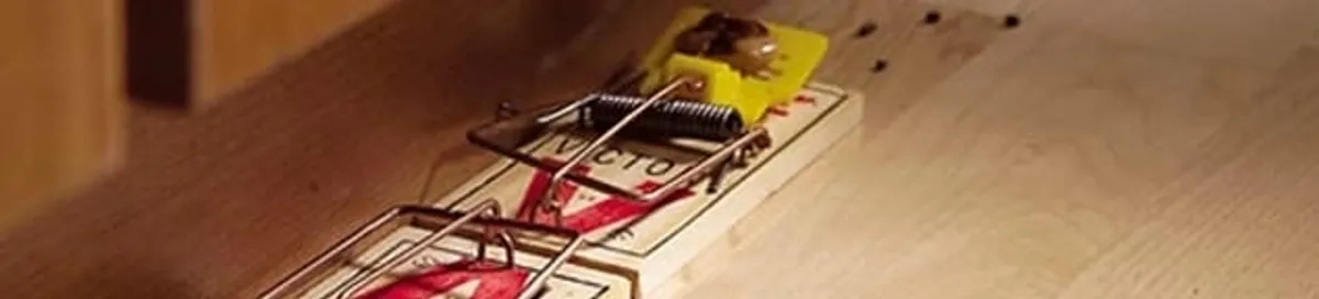 Rodent trap set indoors for rodent control and prevention in Arvada, CO
